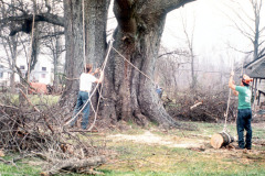 031_Willow-Oak_Demolition-crew_Original-Photo