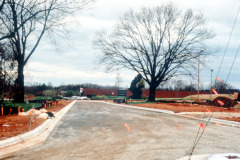 032_Bur-Oak_Side-of-construction-road_Original-Photo