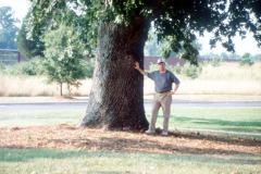 032_Bur-Oak_Trunk_Original-Photo