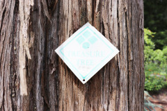 097_Eastern-Red-Cedar_Original-T.T.-Tag_Updated-photo-2020