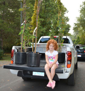 girl-and-trees-truck-bed