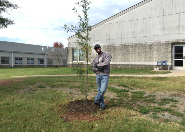 Plant a tree in Charlotte with TreesCharlotte