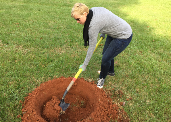 Planting with TreesCharlotte