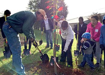 Planting demonstration with TreesCharlotte