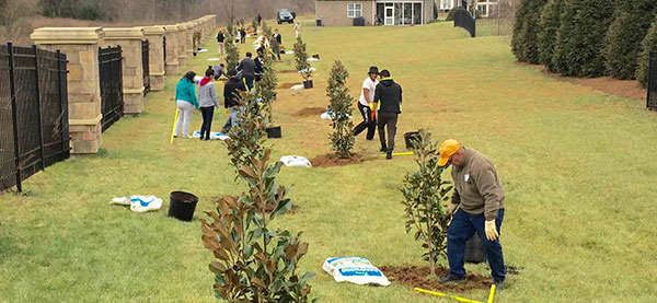 Stone Creek Ranch Planting Trees Charlotte Nonprofit